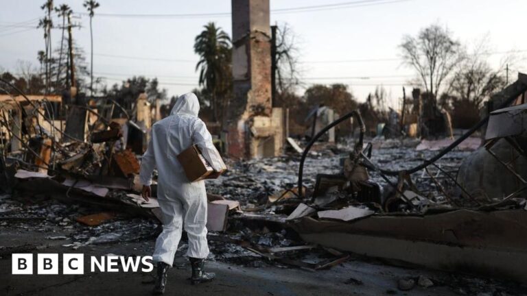Study links over 400 indirect deaths to LA wildfires