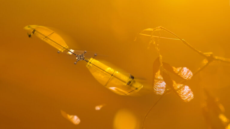 Drone Learns How to Fly Through Observation of Maple Seeds: A Successful Lift-Off