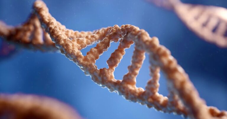 Proteins concealed in DNA could pave the way for novel obesity medications