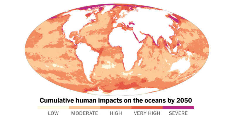 The Potential Future of the Ocean: Climate Change, Overfishing, and Beyond