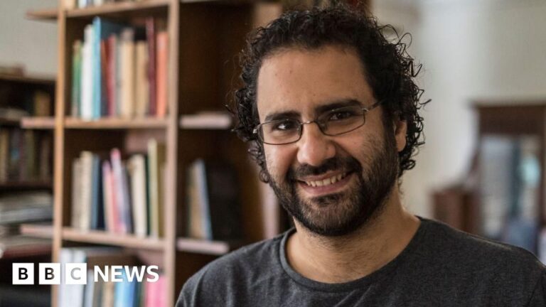 President of Egypt grants pardon to well-known activist