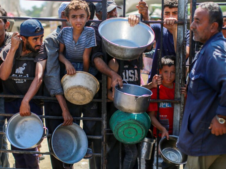 185 people in Gaza die from starvation in August, with 13 more deaths in the past 24 hours due to Israeli actions | Latest updates on Israel-Palestine conflict