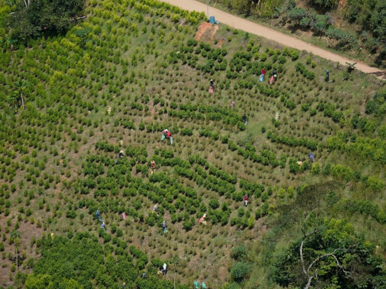 Colombian military successfully rescues 27 abducted soldiers, while many others still held captive | Update on Armed Groups Operations
