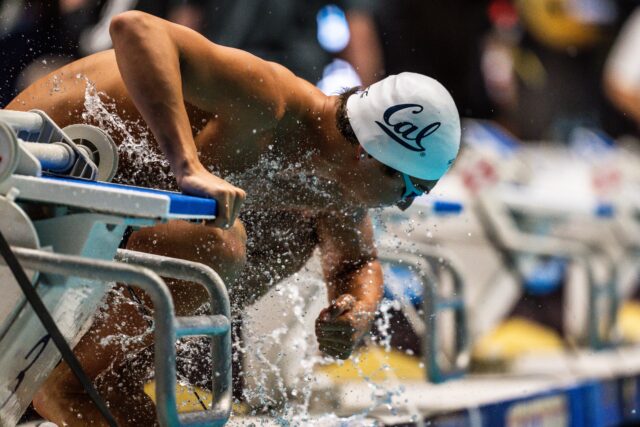 Eduardo Moraes, NCAA Qualifier and Brazilian Olympian, to Compete for Cal in 2025-2026 Season