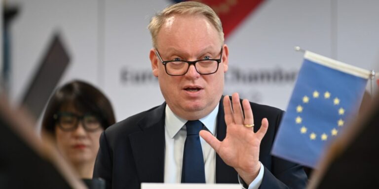 European companies continue to face challenges in accessing Chinese rare earths, according to business lobby