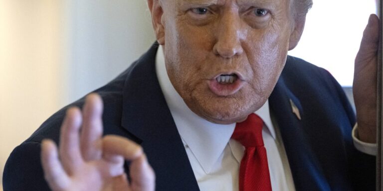 Trump’s phone call with Xi Jinping overshadowed by TikTok and tariffs