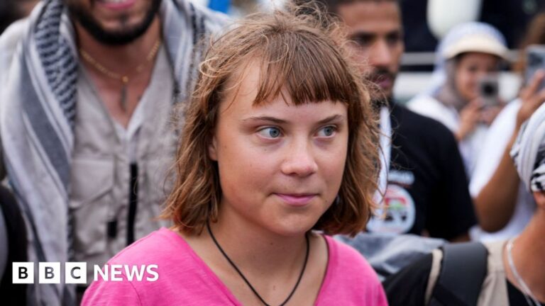 Greta Thunberg’s convoy reaches Tunisia after visiting Gaza