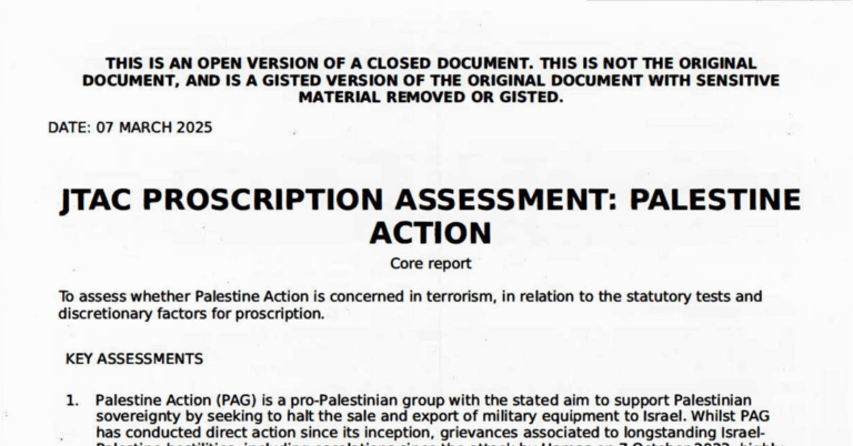 Review of the U.K. Report on Palestine Action