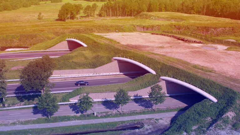 California to Construct the World’s Largest Wildlife Bridge