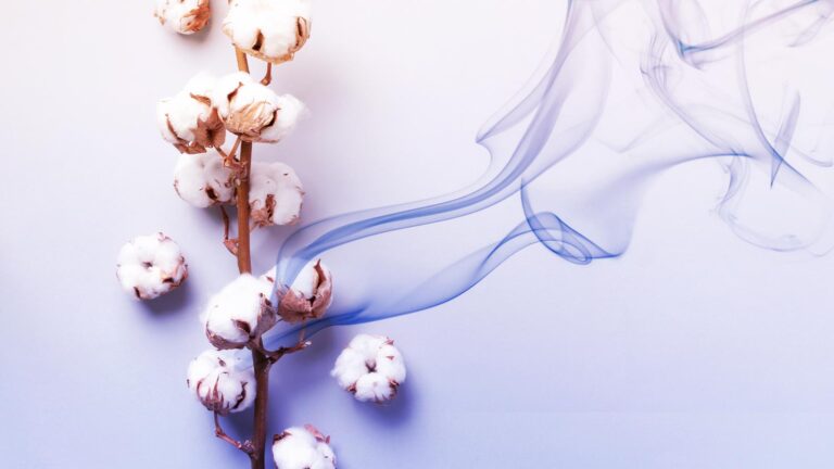 New Cotton Fabric Could Potentially Filter Out Carbon: A Novel Approach to Carbon Sequestration Methods