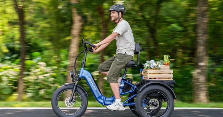 Easily Transport Heavy Loads with the Rottweiler E-Trike