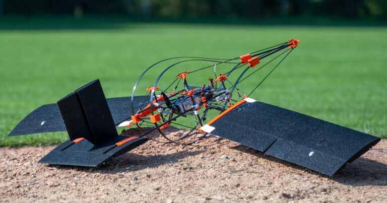 Drone Design Inspired by Woodpeckers for Crash-Resistance