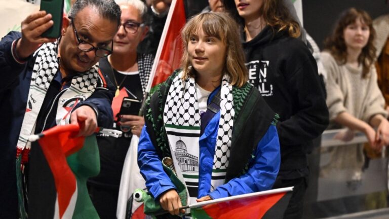 Activists claim Greta Thunberg mistreated by Israeli forces while in detention | Israel-Palestine conflict News