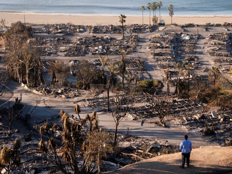 Man accused of starting deadly LA wildfire is charged by authorities | Wildlife News