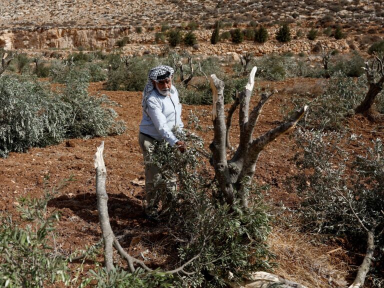 The conflict persists in the occupied West Bank | Israel-Palestine conflict