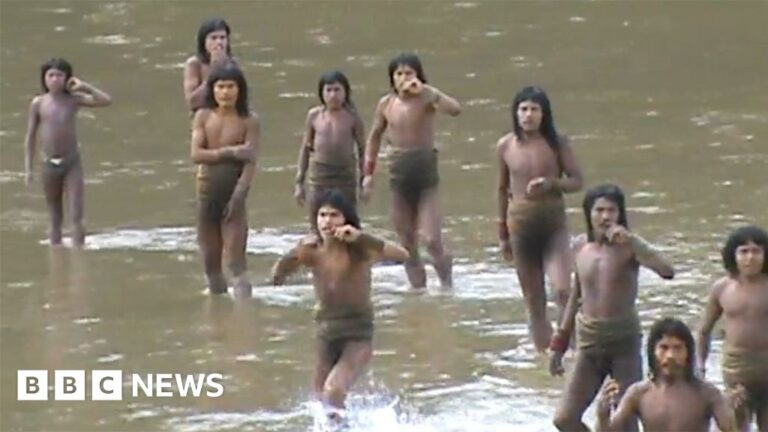 Siblings Battling to Safeguard a Remote Amazon Tribe in the Forest