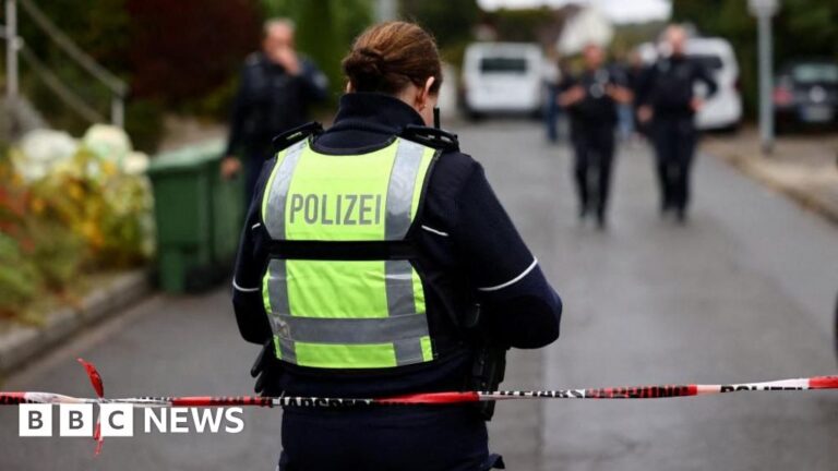 German mayor in critical condition after stabbing, according to police