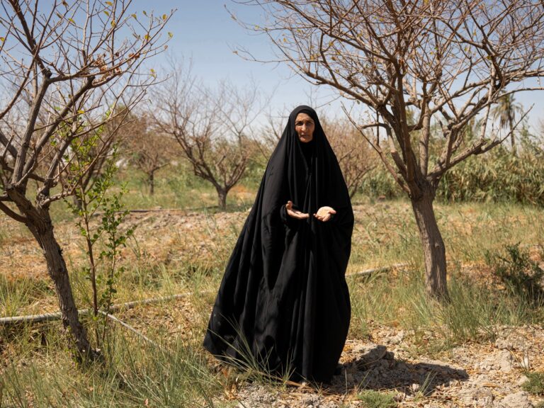 High levels of salinity in water causing harm to farmers and livestock in Iraq | Updates on Water Issues