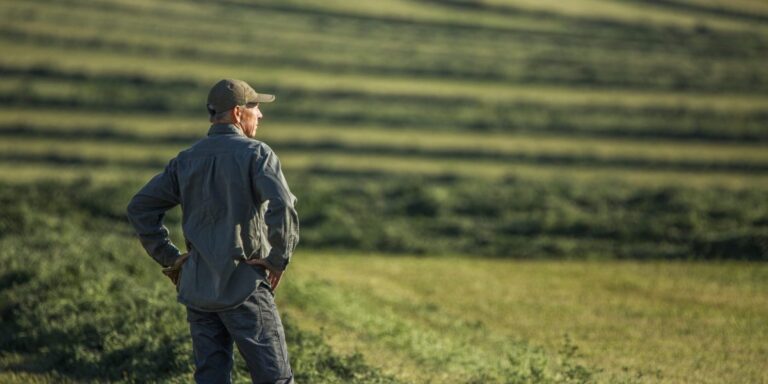 Trump mulls $14 billion bailout as farm bankruptcies rise due to low crop prices