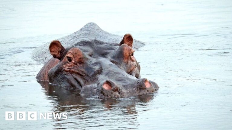 South Africa contemplates renaming renowned wildlife reserve