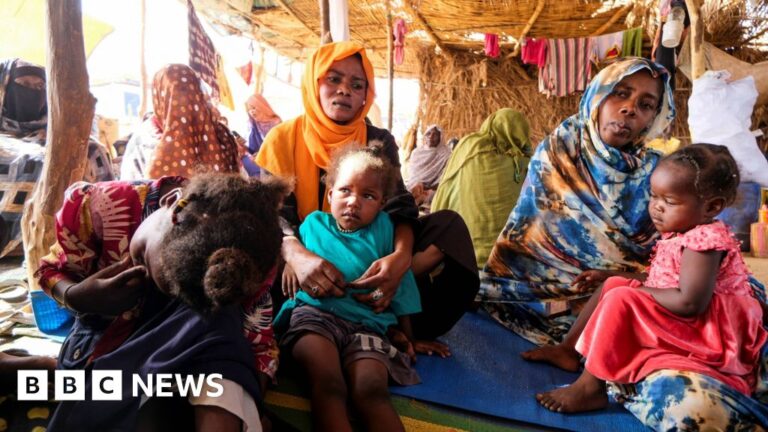 Rebel group seizes control of strategic city in Sudan