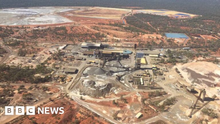 Two individuals, a man and a woman, were fatally injured in the New South Wales outback.