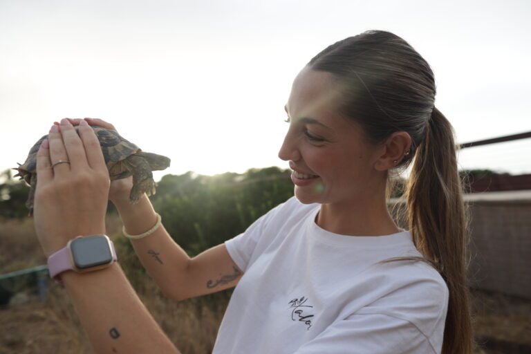 Rescuing Spain’s Turtles: A Documentary on Post-Flood Recovery
