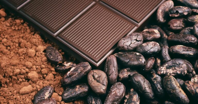 Secrets of Cocoa Fermentation: Utilizing Microbes for High-Quality Chocolate