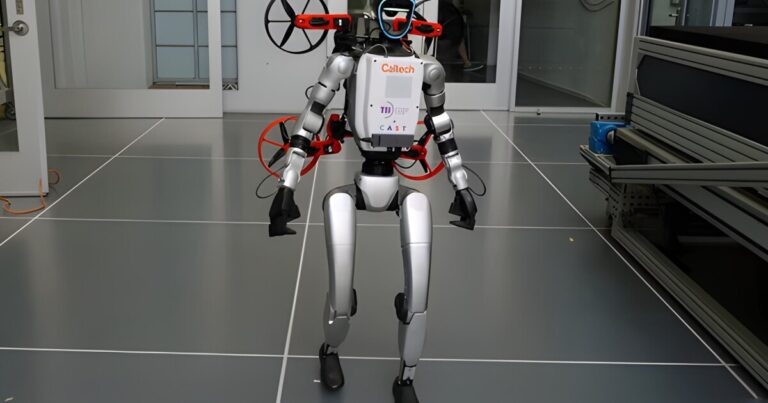 Observe this transforming robot pair as they walk, drive, and fly