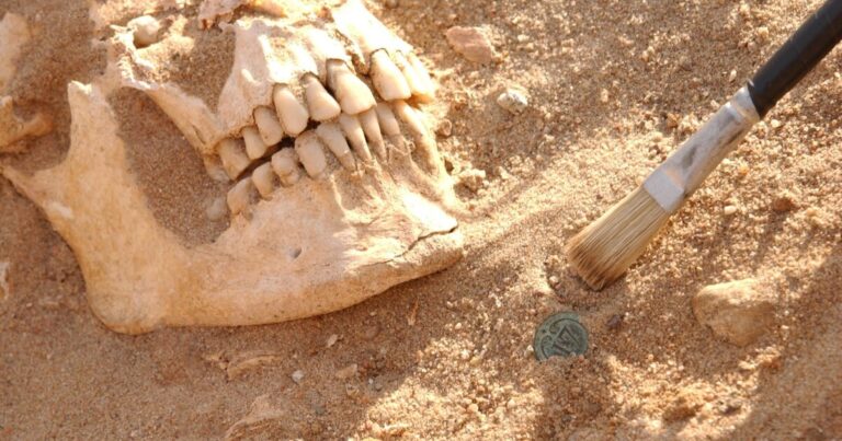 Old DNA Discloses Napoleon’s Army Overcome by Novel Diseases