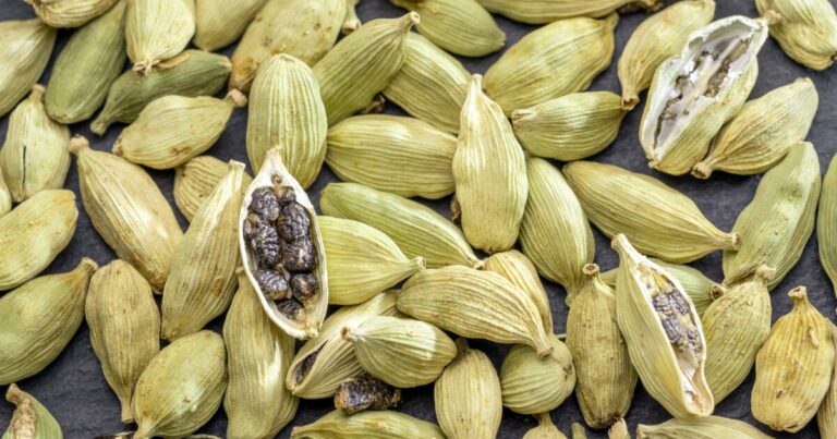 Compounds in Cardamom Seeds May Naturally Enhance Antiviral Immunity