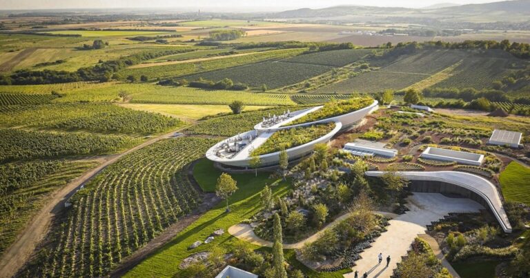 Historic Tokaj Vineyards House a Floating Hungarian Winery
