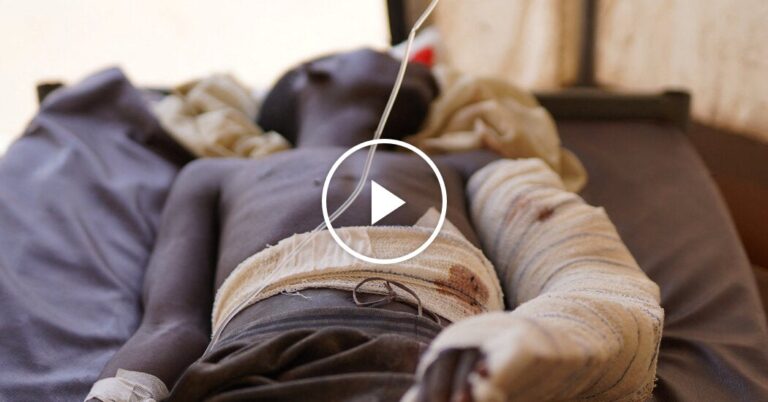 Sudanese Paramilitary Group Accepts Cease-Fire Proposal