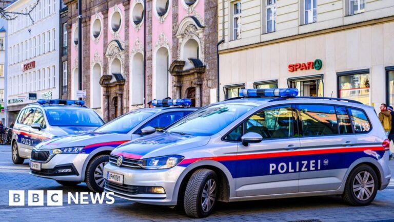 Mother and child’s bodies discovered in freezers after going missing in Austria