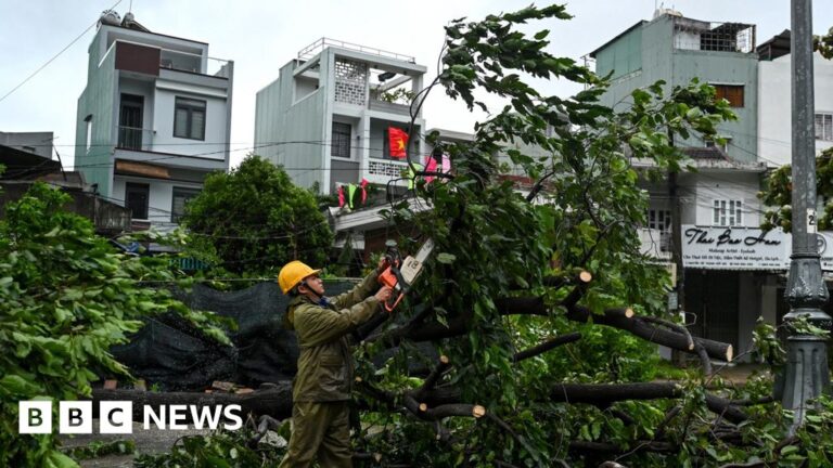 Typhoon Kalmaegi claims three lives in Vietnam following 114 deaths in Philippines