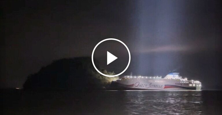 Officials: Ferry Crashed Due to Operator’s Distraction from Phone Use