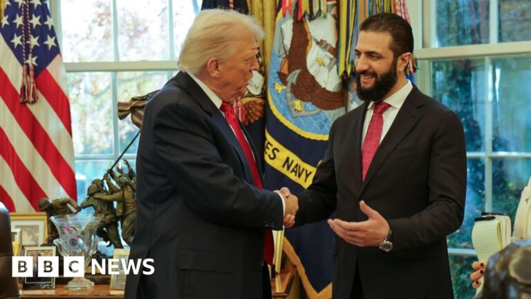 Syria to join coalition in defeating IS group following Trump meeting