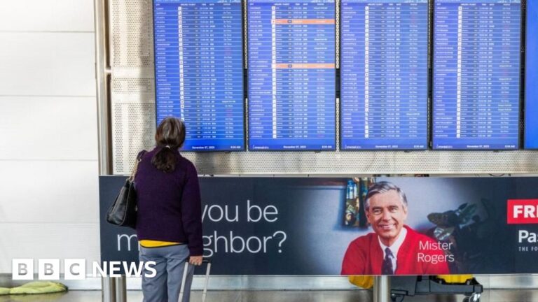 Transport secretary warns that US flights could be reduced to a trickle due to shutdown