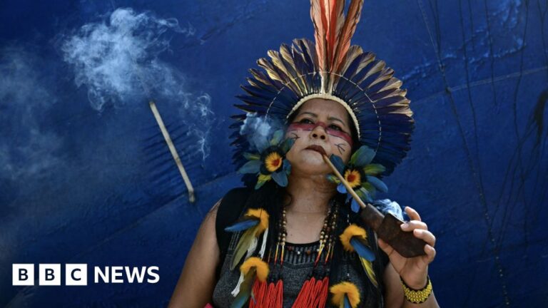 Brazil Establishes New Indigenous Territories Amid COP30 Protests