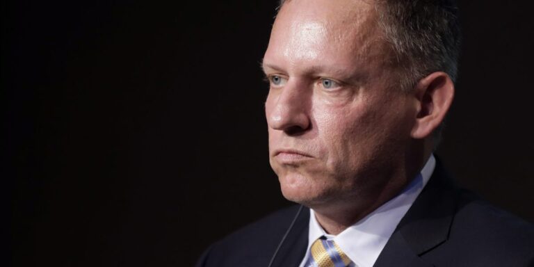Don’t be surprised if young people turn to communism if you ‘proletarianize’ them, warns Peter Thiel