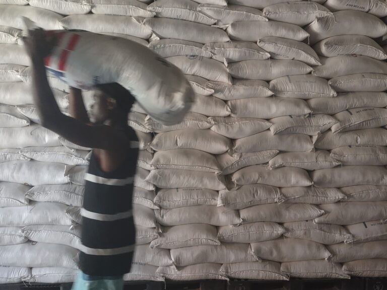 Trump’s funding cuts jeopardize efforts to empower Haiti’s farmers | Food News