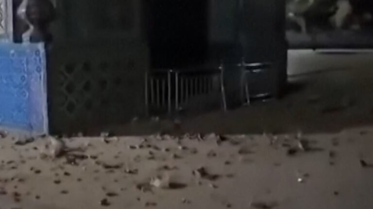 Blue Mosque in Afghanistan Suffers Damage Due to Earthquake – Video Coverage | Infrastructure