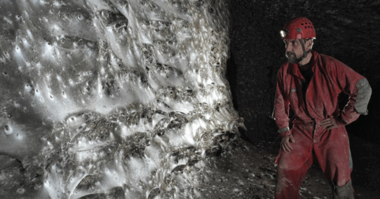 Huge Spider Colony Found in Distinctive Chemoautotrophic Cave