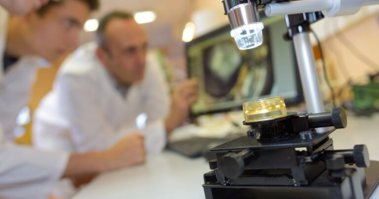 Functional Brain-Like Tissue Created Using New Synthetic Material