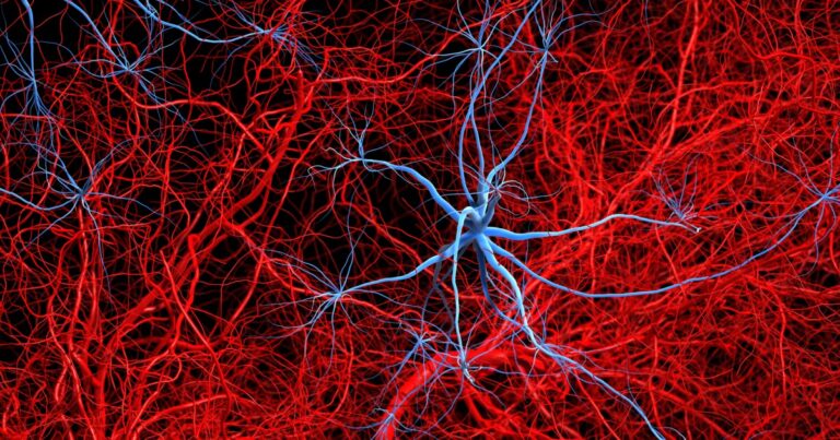 Explaining Broader Health Problems: The Impact of Alzheimer’s on Body Fat