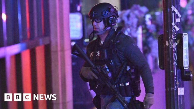 Massive manhunt launched by police