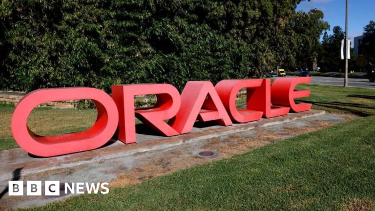 Oracle’s stock falls as earnings do little to alleviate concerns about AI bubble