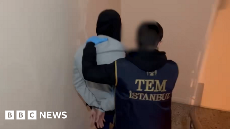 Turkey arrests 357 individuals suspected of being members of IS in countrywide raids