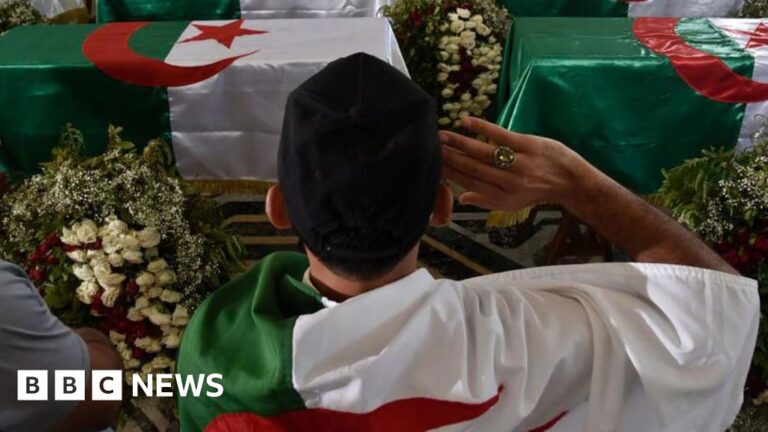 Algeria’s Parliament Passes Legislation Declaring France’s Colonization as Criminal