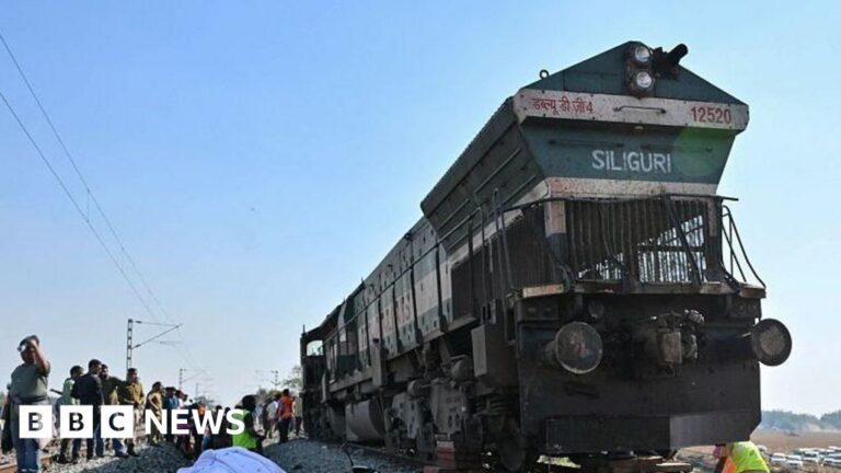 Seven elephants killed by India express train while crossing tracks